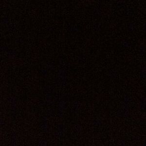 Meet your Posher, Winston